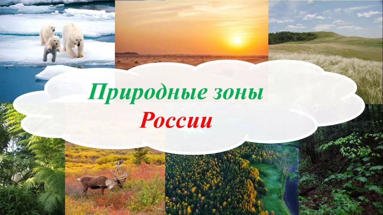 Природные зоны России окружающий мир 4 класс