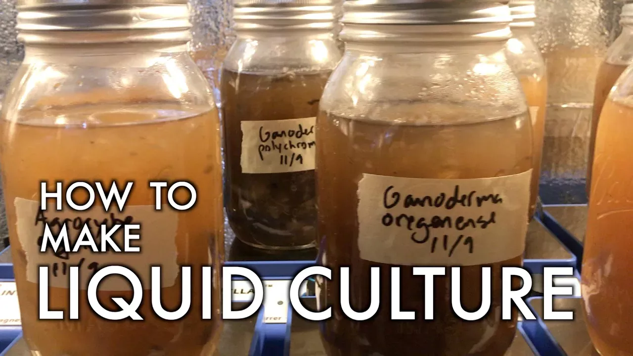 How to Make Liquid Culture: DIY Mushroom Cultivation Made Easy
