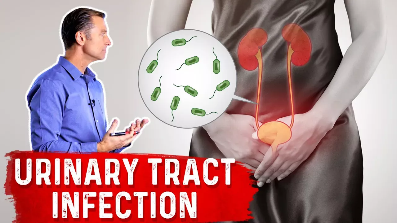 Top Natural Remedies for a UTI (Urinary Tract Infection)