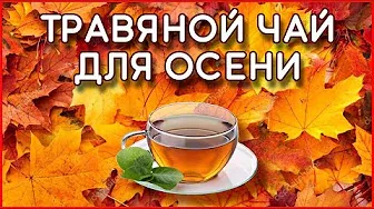 Травяной чай для осени  - Herbal tea for autumn
