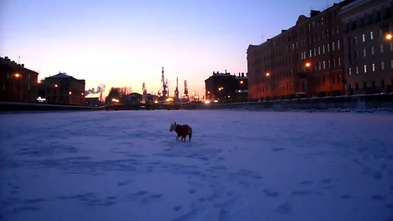 Гуляем по замерзшей Фонтанке | Walk on the frozen river