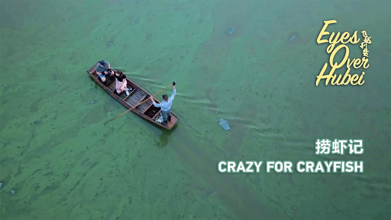 Eyes Over Hubei: Crazy for crayfish