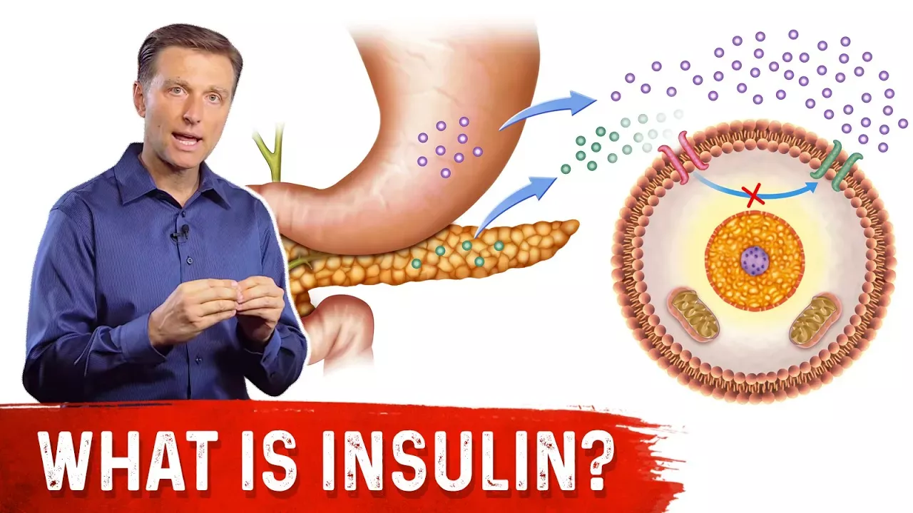 What Is Insulin? – Dr. Berg