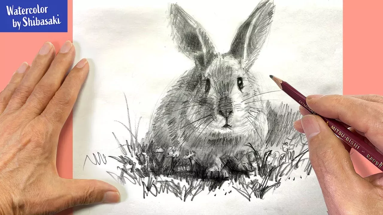 [Eng sub] How to Draw a rabbit with a pencil | Step by Step  #StayHome