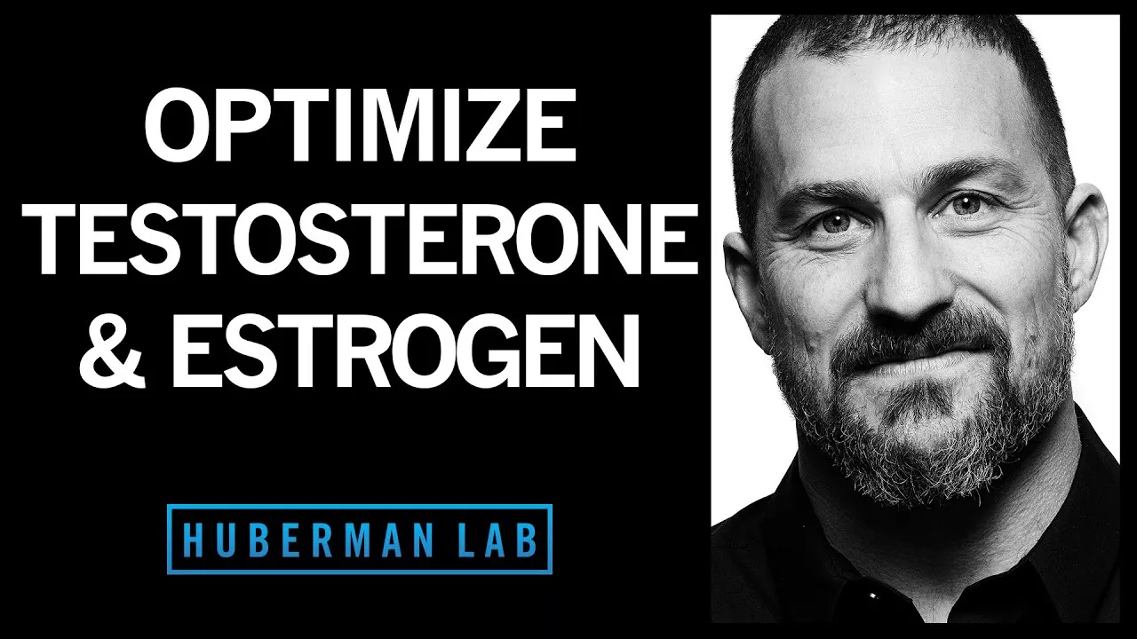 The Science of How to Optimize Testosterone & Estrogen | Huberman Lab Podcast #15