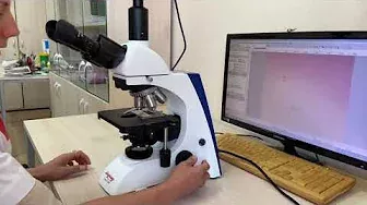 Правила работы с микроскопом