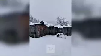 Жители соседней с Татарстаном Башкирии сняли на видео выпавший в мае снег