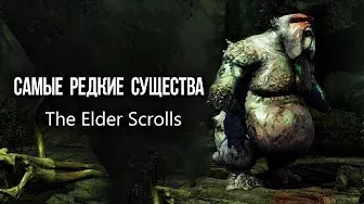САМЫЕ РЕДКИЕ СУЩЕСТВА The Elder Scrolls которых не было в Skyrim