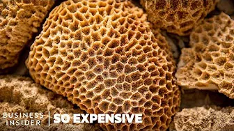 Why Sea Sponges Are So Expensive | So Expensive