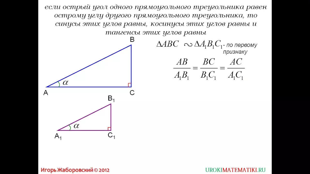 Синус, косинус и тангенс острого угла прямоуг. треугольника | Геометрия 7-9 класс #66 | Инфоурок