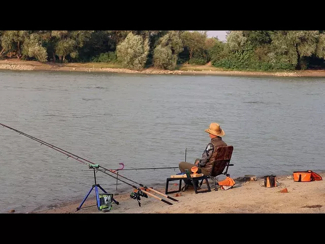 Рыбалка на реке Кубань, много разной рыбы, ловля карася и леща, хороший клёв осенью 2022